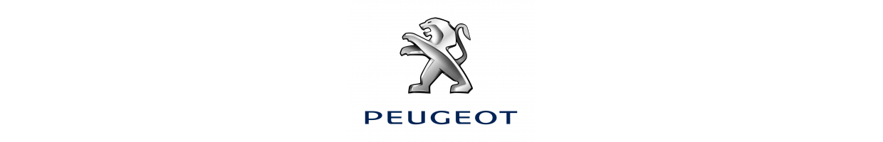 Entretoises pour autoradio PEUGEOT